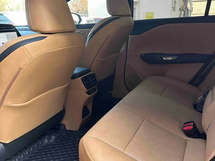 Фото 11 - Lexus RZ