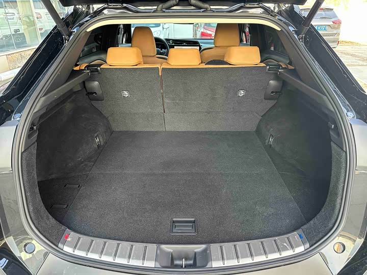 Фото 14 - Lexus RZ