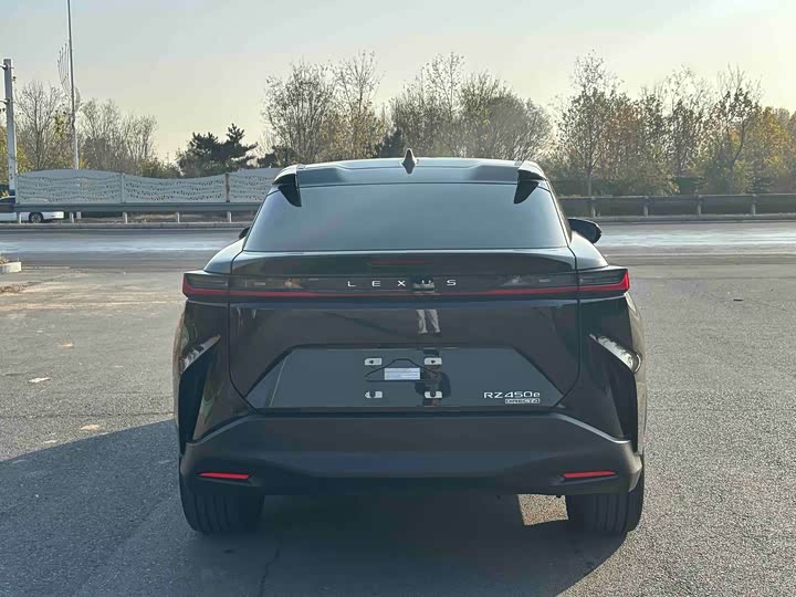 Фото 6 - Lexus RZ