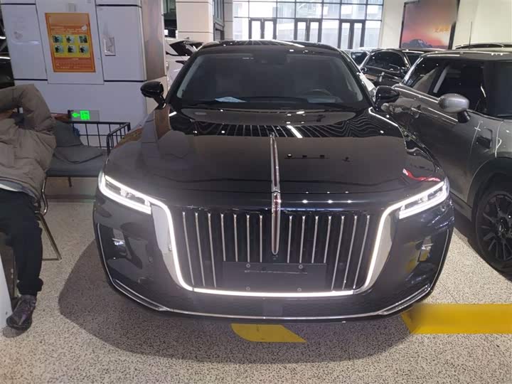 Фото 3 - Hongqi H9