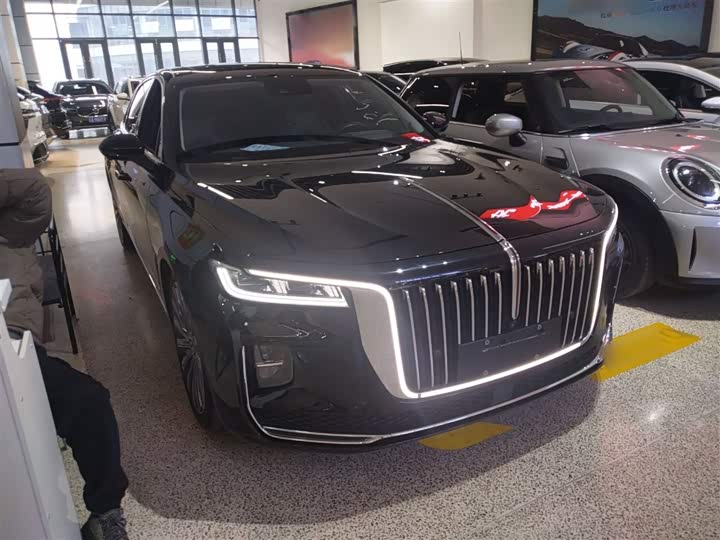 Фото 4 - Hongqi H9