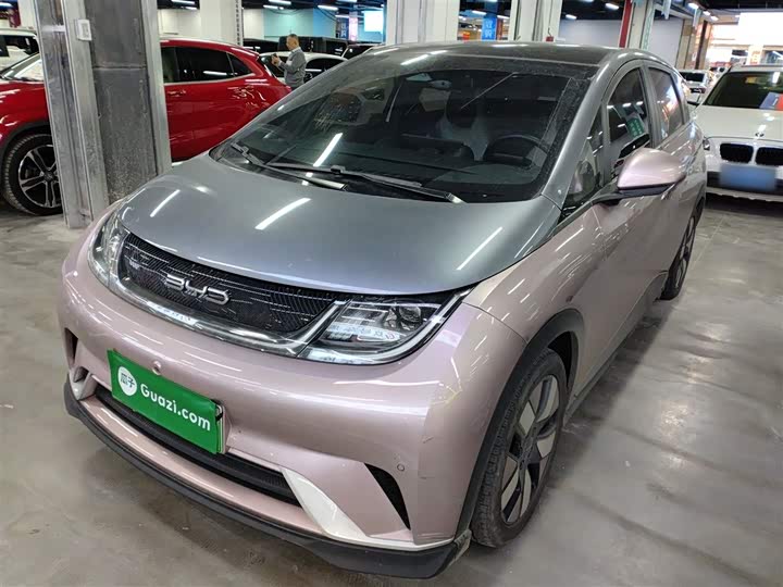 Фото 2 - BYD Dolphin