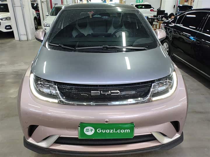 Фото 3 - BYD Dolphin