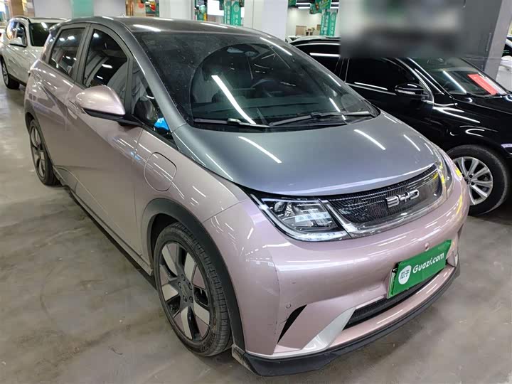 Фото 4 - BYD Dolphin