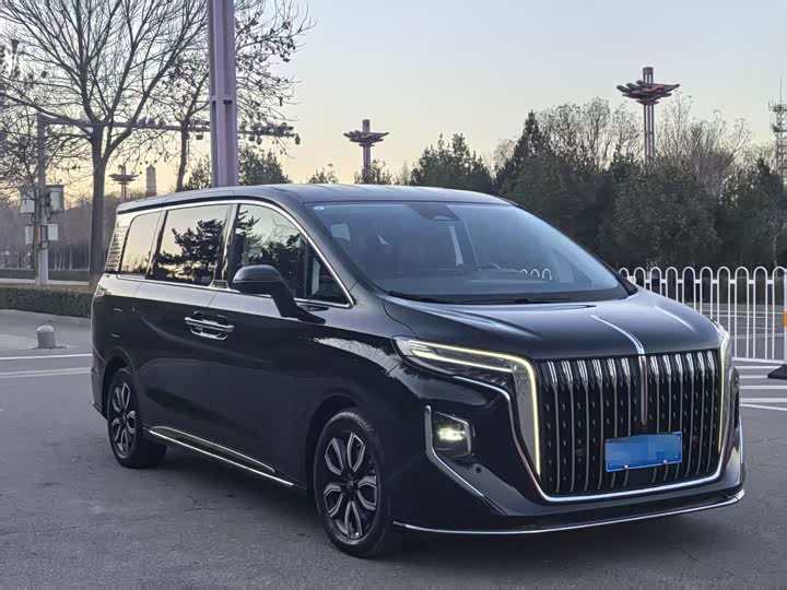 Фото 2 - Hongqi HQ9