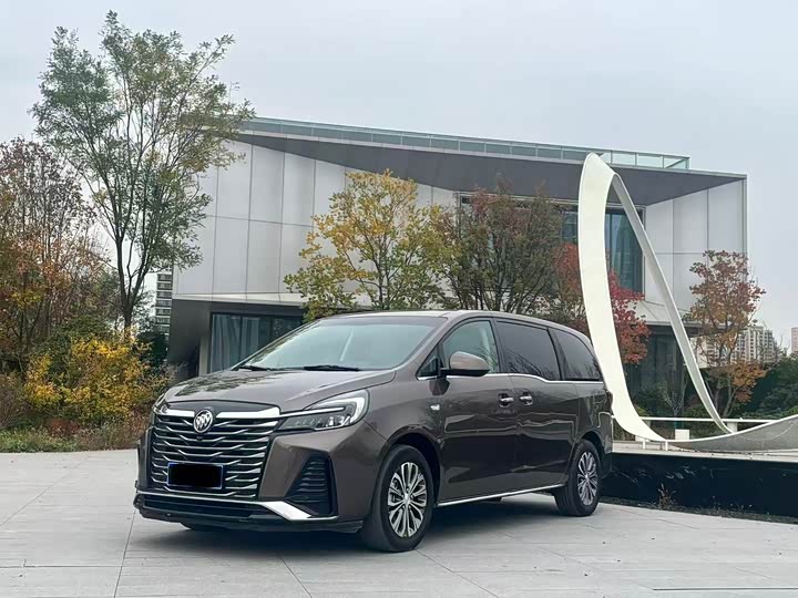 Фото 1 - Buick GL8 ES