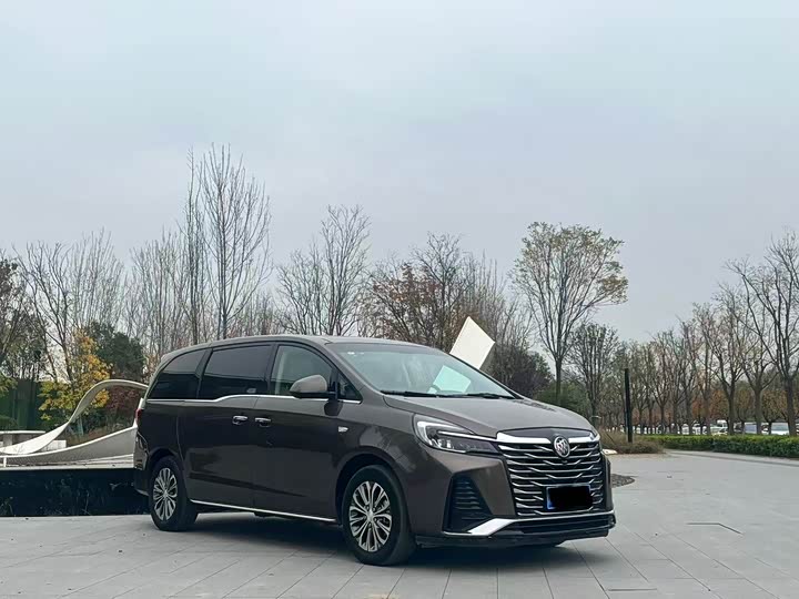 Фото 3 - Buick GL8 ES