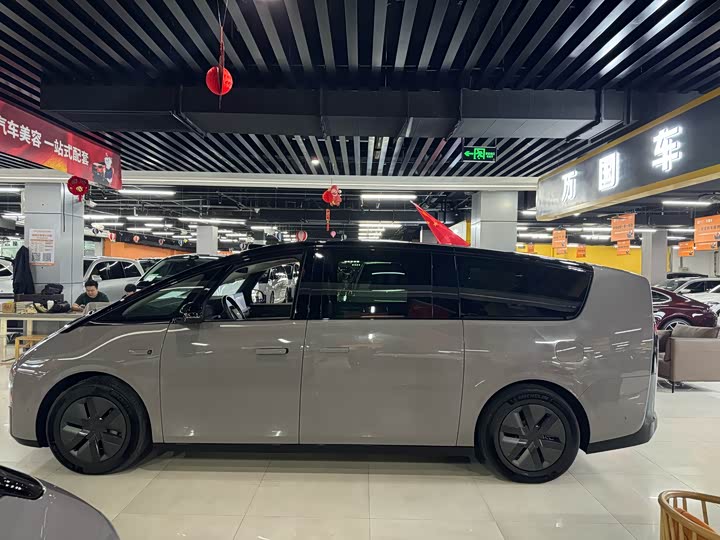 Фото 5 - LiXiang Mega