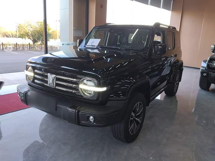 Фото 2 - Tank 300