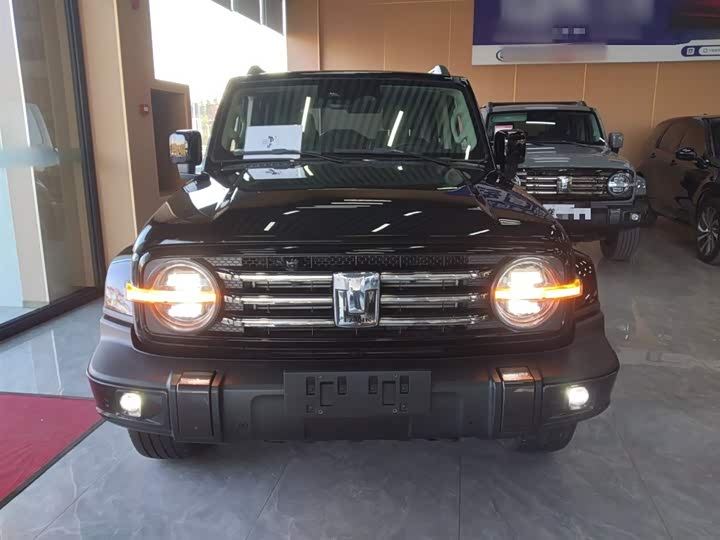 Фото 3 - Tank 300