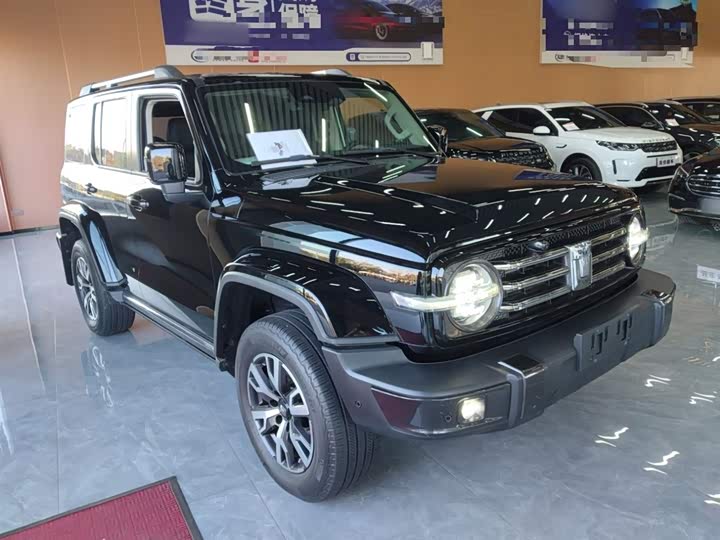 Фото 4 - Tank 300