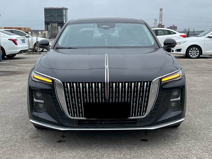 Фото 2 - Hongqi H5