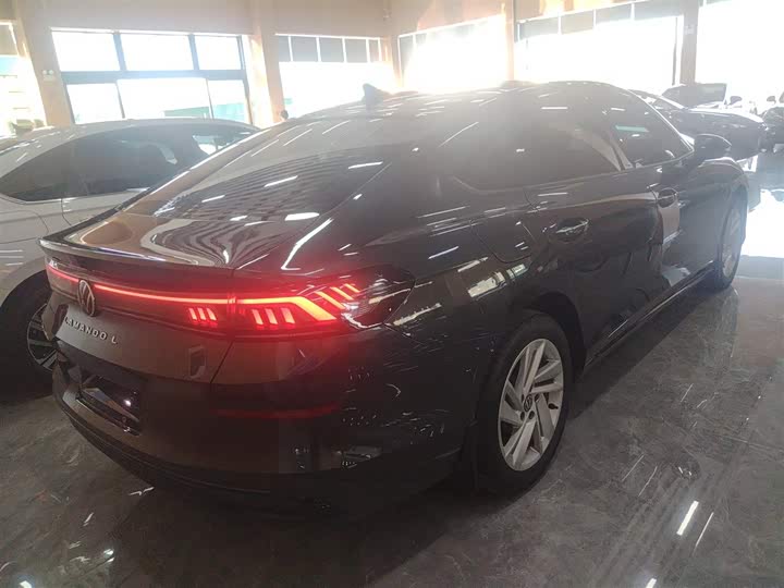 Фото 7 - Volkswagen Lamando L