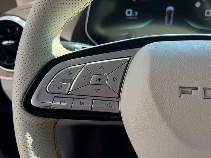 Фото 21 - Dongfeng Forthing Yacht