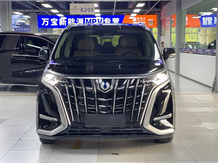 Фото 2 - Denza D9