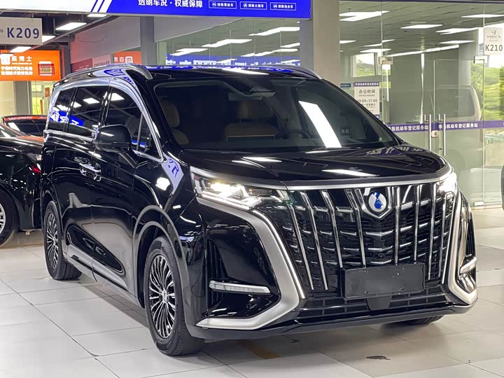 Фото 3 - Denza D9