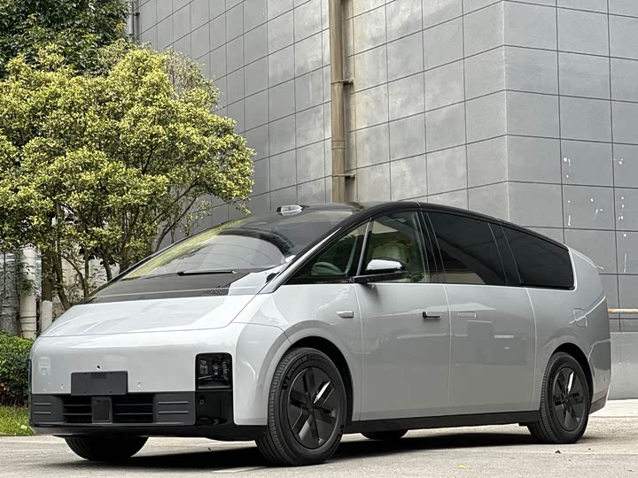 Фото 1 - LiXiang Mega