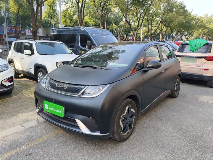 Фото 2 - BYD Dolphin