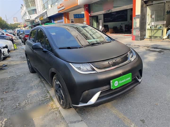 Фото 4 - BYD Dolphin