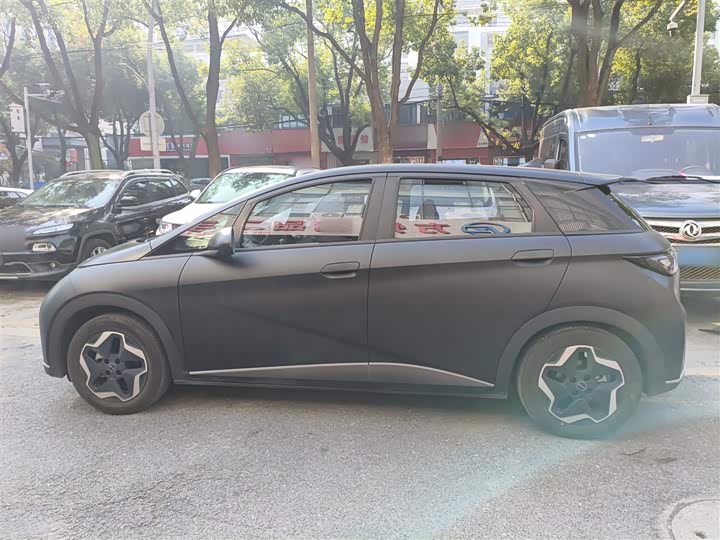 Фото 5 - BYD Dolphin