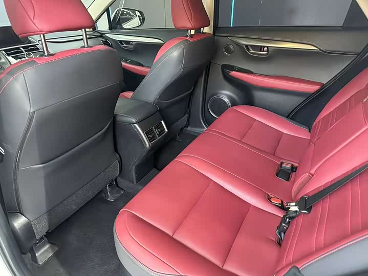 Фото 10 - Lexus NX