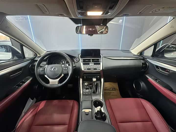 Фото 9 - Lexus NX