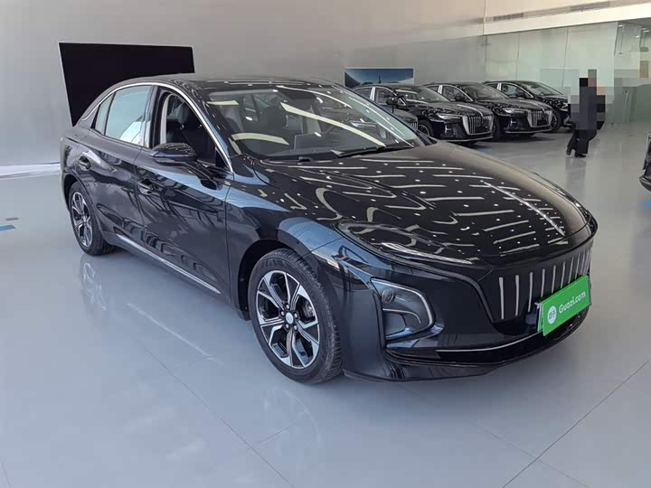 Фото 3 - Hongqi E-QM5