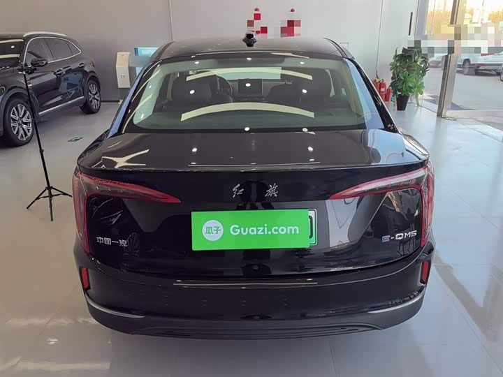 Фото 5 - Hongqi E-QM5