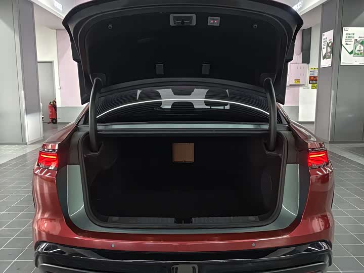 Фото 11 - BYD Han L