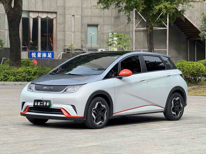 Фото 1 - BYD Dolphin