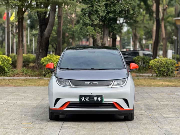 Фото 2 - BYD Dolphin