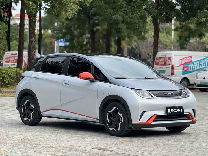 Фото 3 - BYD Dolphin