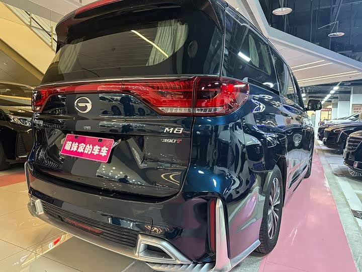 Фото 16 - GAC Trumpchi M8