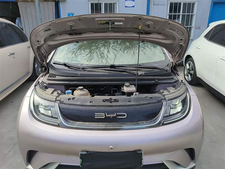 Фото 10 - BYD Dolphin