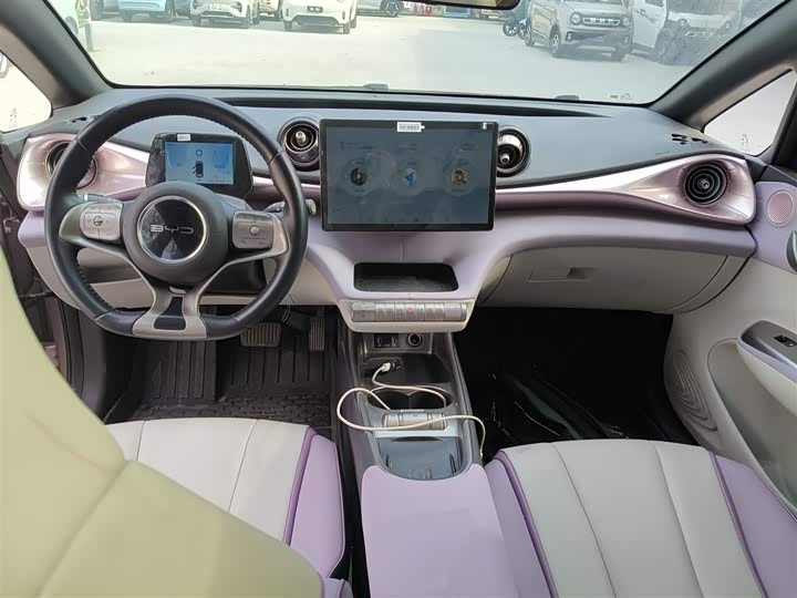 Фото 12 - BYD Dolphin