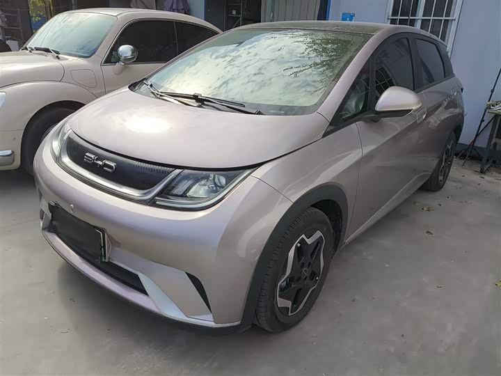 Фото 2 - BYD Dolphin