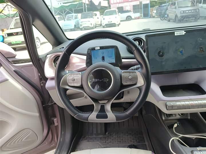 Фото 3 - BYD Dolphin