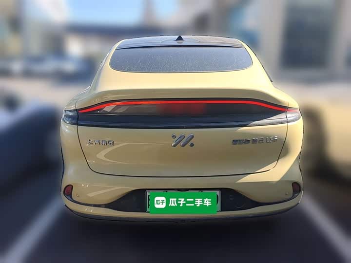 Фото 12 - IM motors LS6