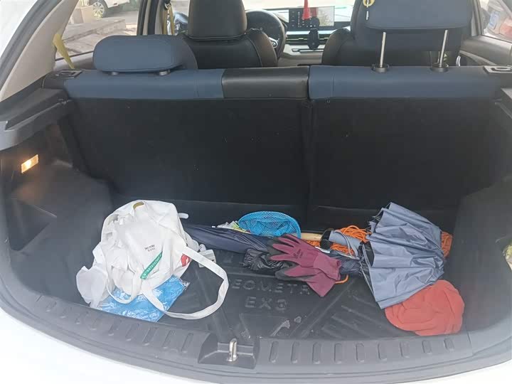 Фото 10 - Geely Geometry EX3