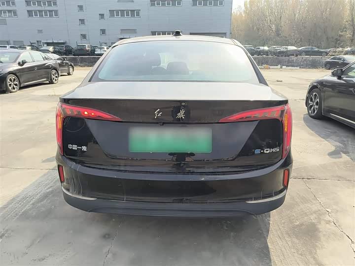 Фото 6 - Hongqi E-QM5