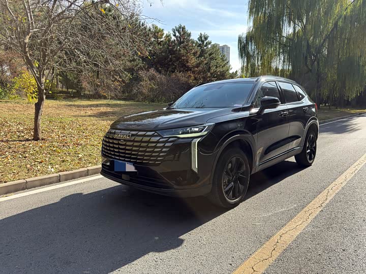 Фото 3 - Haval H6