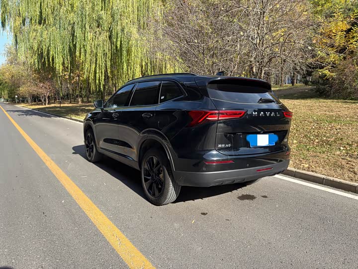 Фото 4 - Haval H6