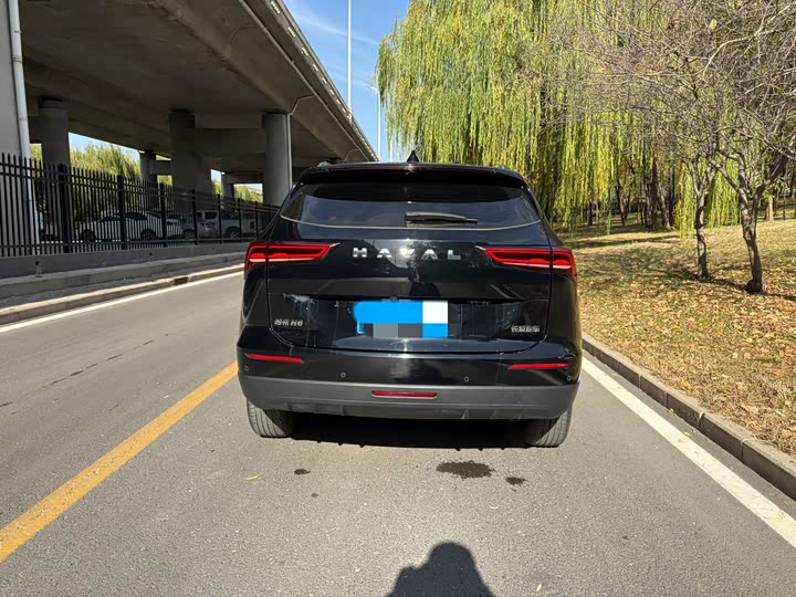 Фото 5 - Haval H6