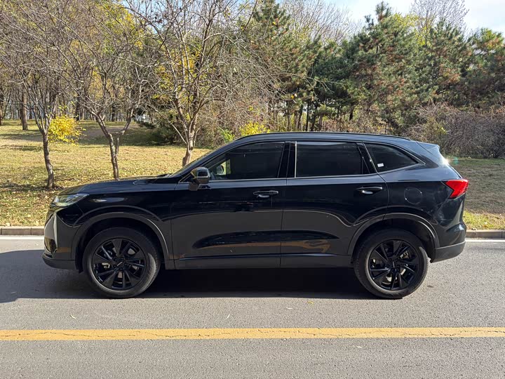 Фото 7 - Haval H6