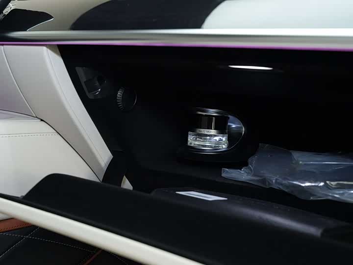 Фото 9 - Mercedes-Benz Maybach S-Class