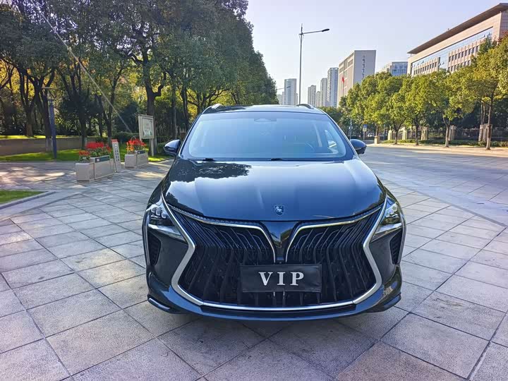 Фото 2 - Dongfeng Forthing Yacht