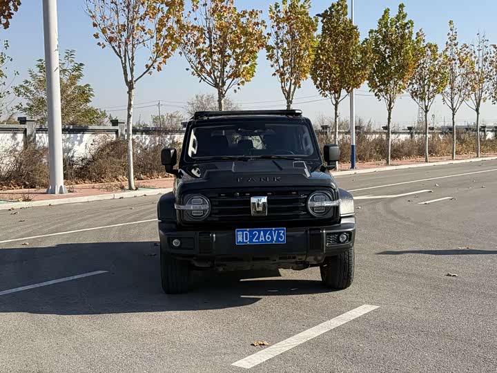 Фото 1 - Tank 300