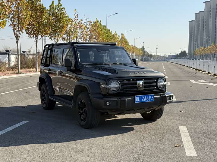 Фото 2 - Tank 300