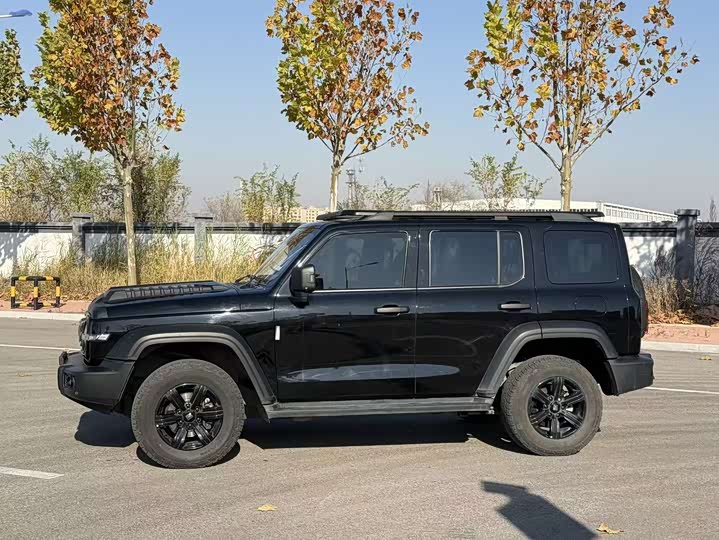 Фото 4 - Tank 300