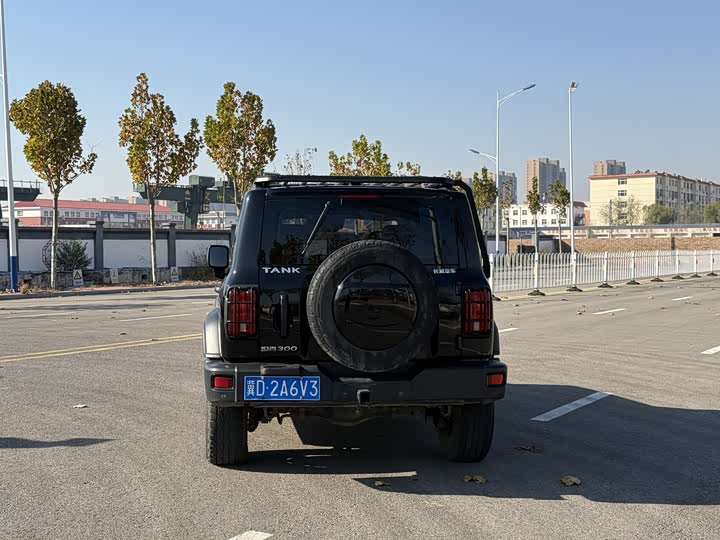 Фото 5 - Tank 300